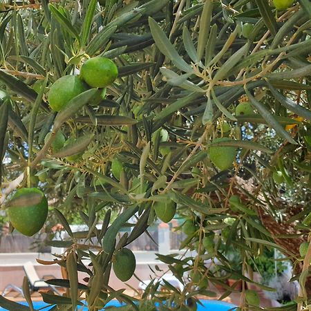 Alojamiento El Olivo Ronda Oda fotoğraf
