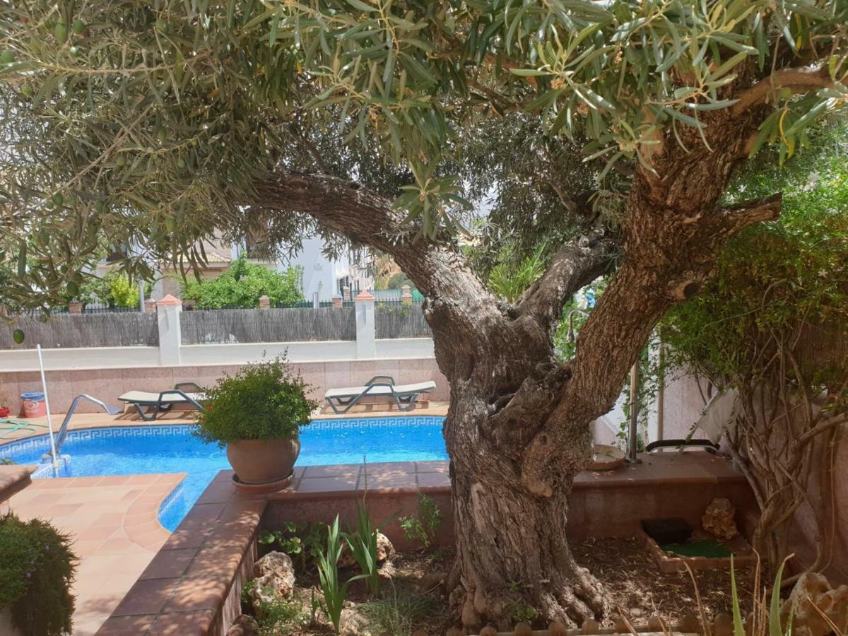 Alojamiento El Olivo Ronda Dış mekan fotoğraf