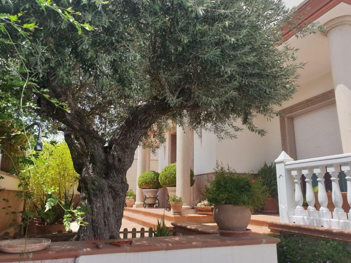 Alojamiento El Olivo Ronda Dış mekan fotoğraf